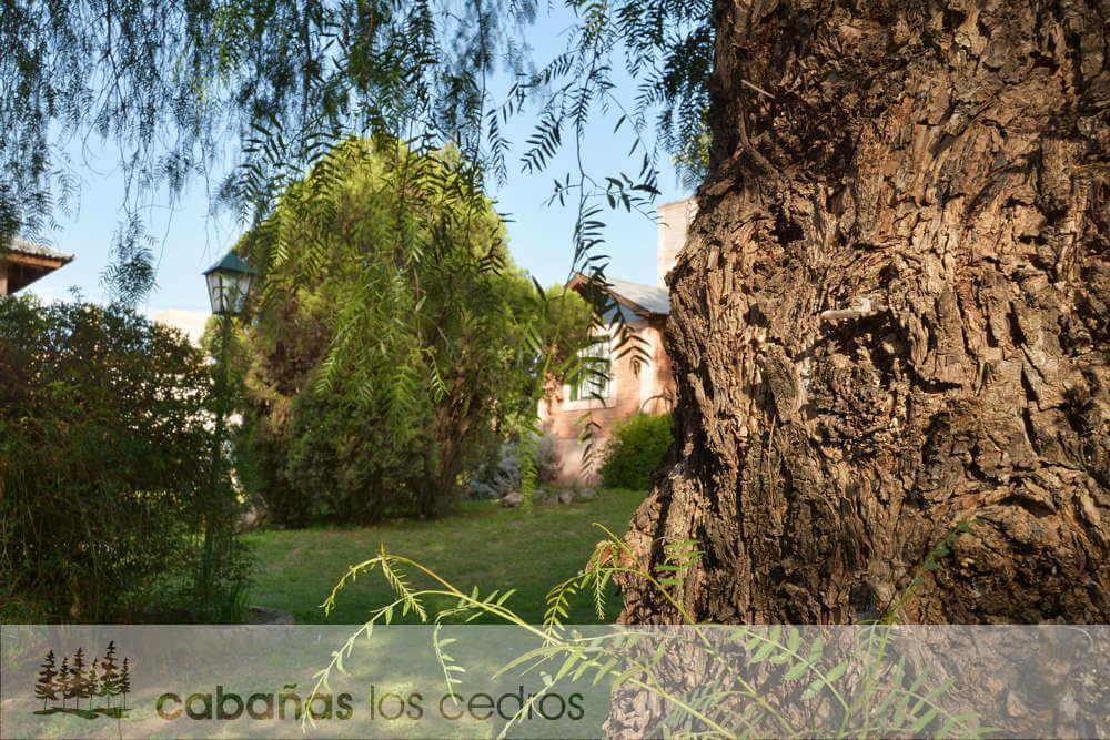 فندق تانتيفي  Cabanas Los Cedros المظهر الخارجي الصورة